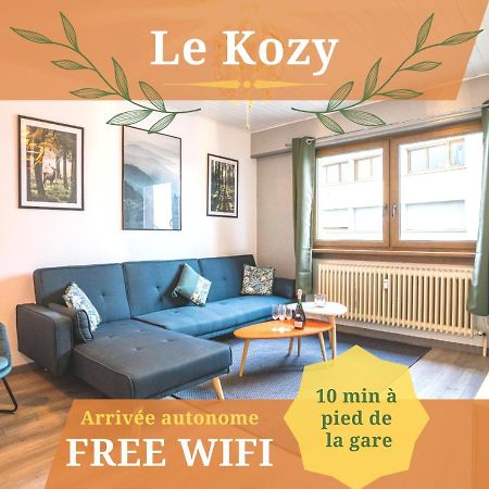 Le Kozy - Wifi - Centre Ville - Proche Commerces Sarrebourg Εξωτερικό φωτογραφία